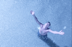 gif 6