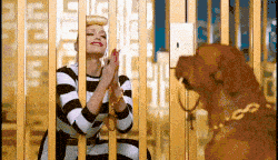 Person and dog behind bars