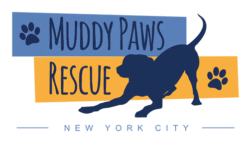 pup dadness event